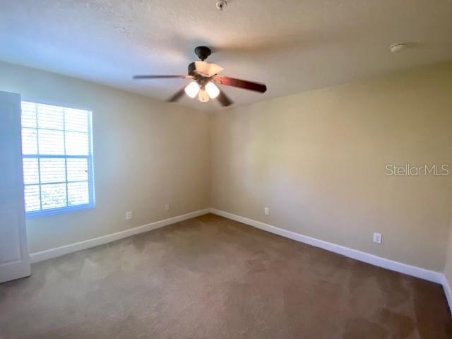 10429 Kristen Park Drive - Photo 21