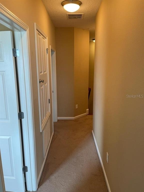 649 Terrace Spring Drive - Photo 13