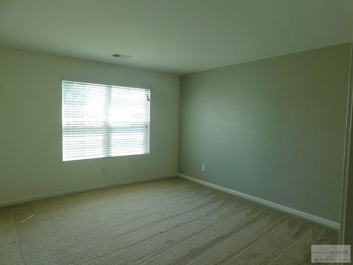 1750 Ruger Drive - Photo 31