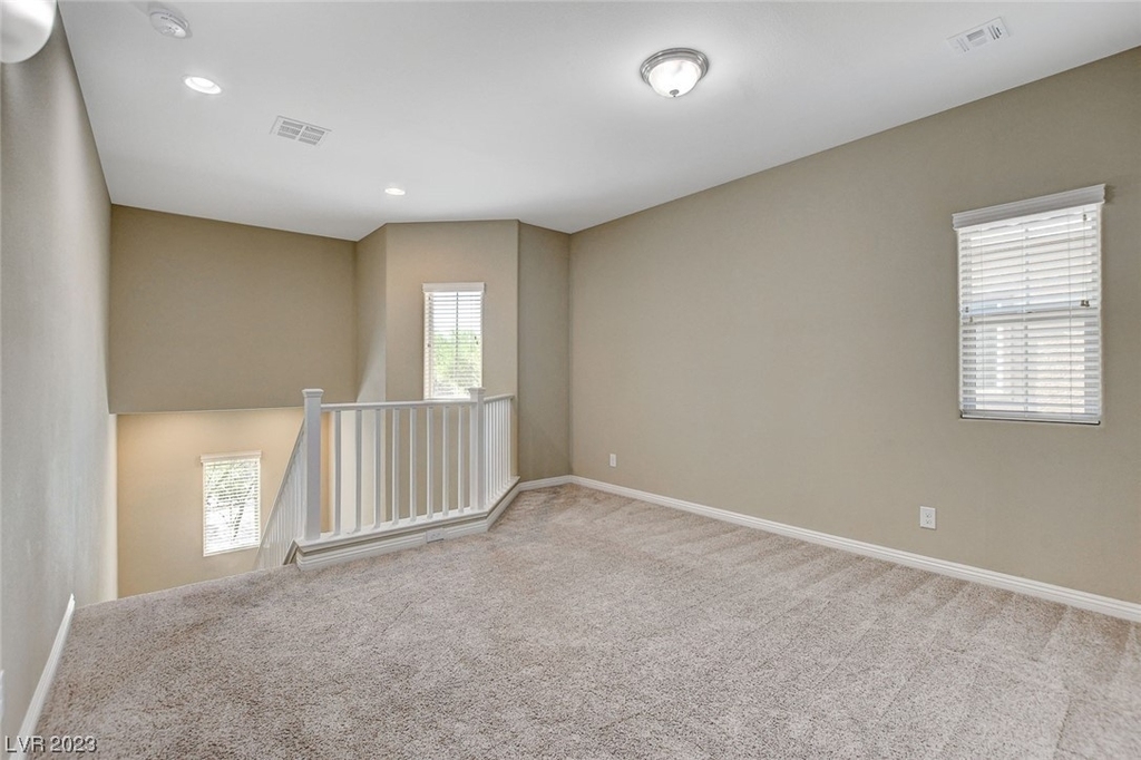 10252 Vernal Pool Street - Photo 24