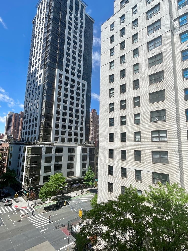 400 East 89th Street, 6N - Photo 4