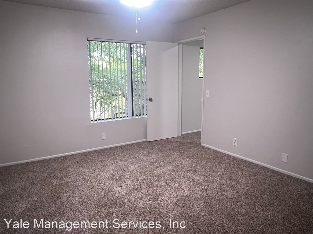 5250 Colodny Drive - Photo 19