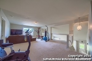 313 Brahma Way - Photo 24