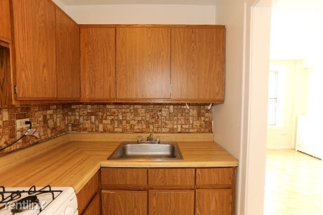 739 W. Belmont, Unit C402 - Photo 3