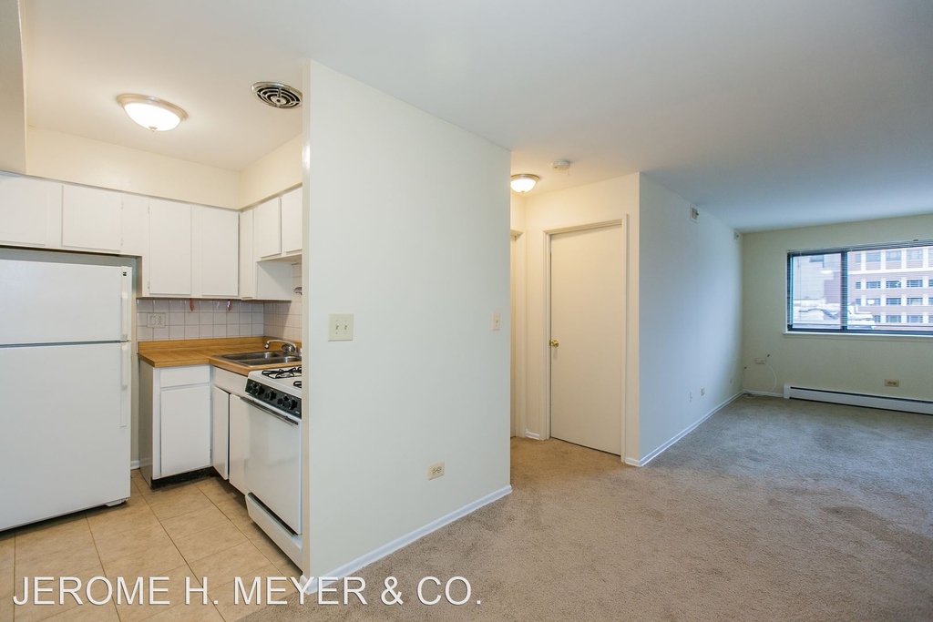 525 W. Deming Place - Photo 7