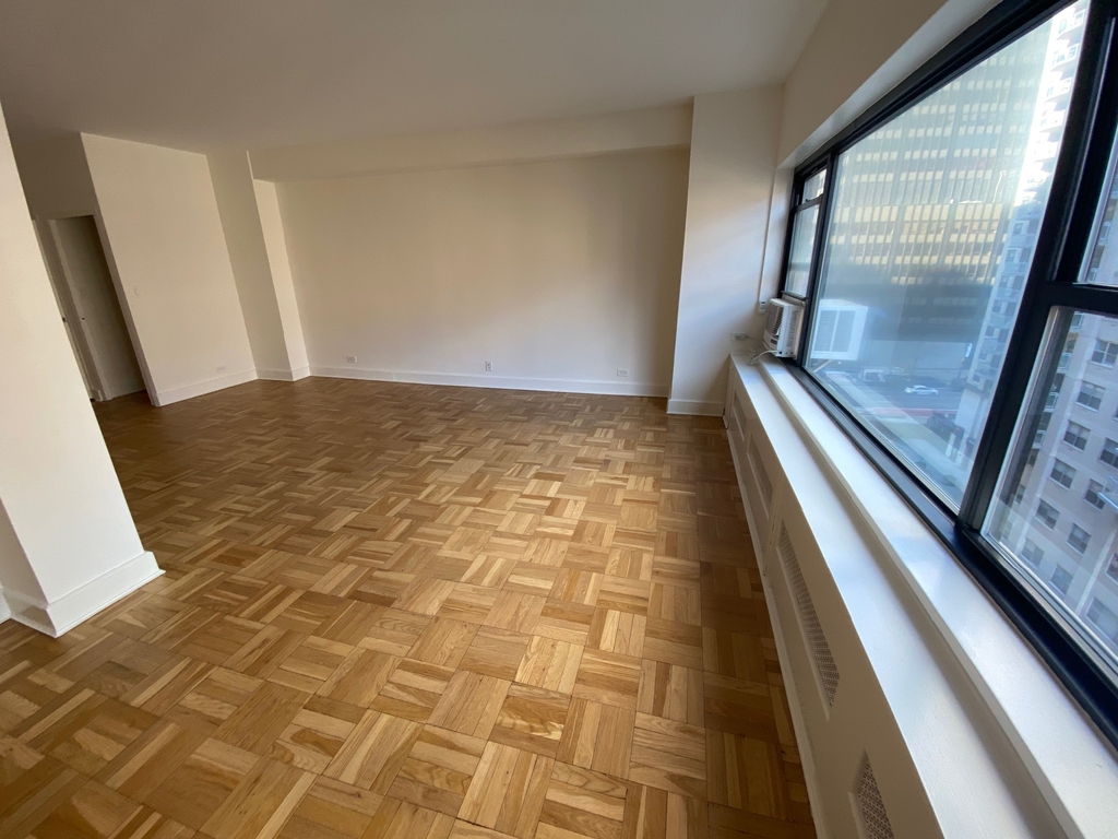 East 55th Street - Photo 4