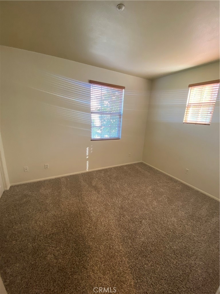 31177 Black Maple Drive - Photo 4