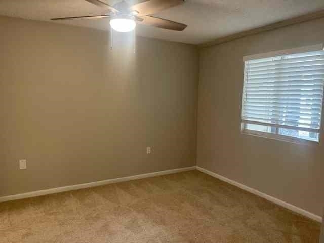 1111 High Road - Photo 20