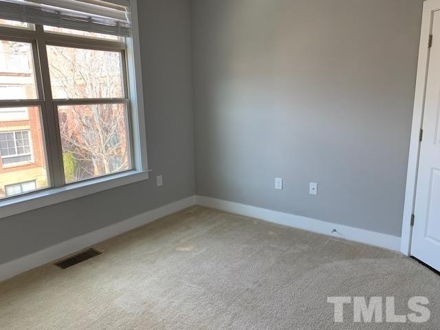 1231 Twin Branches Way - Photo 13