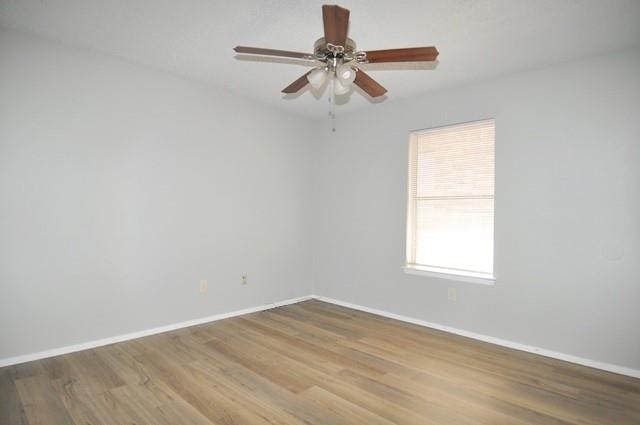 2325 Miguel Lane - Photo 14