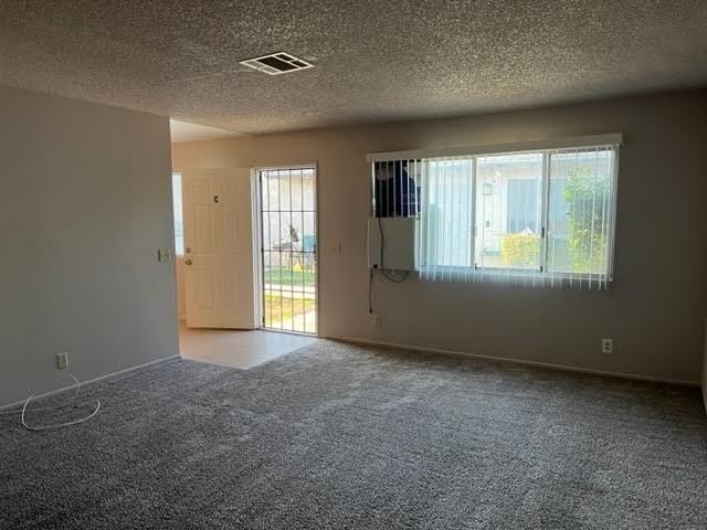 2851 Desert Street - Photo 4