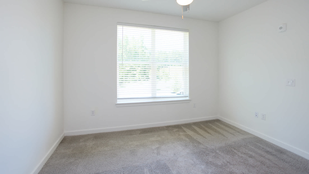 2950 Richmond Row Drive - Photo 65