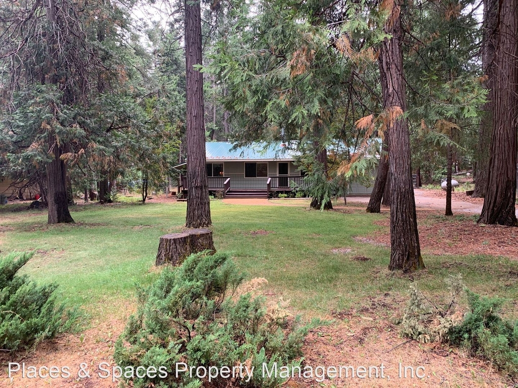 8178 Starlite Pines Road - Photo 0