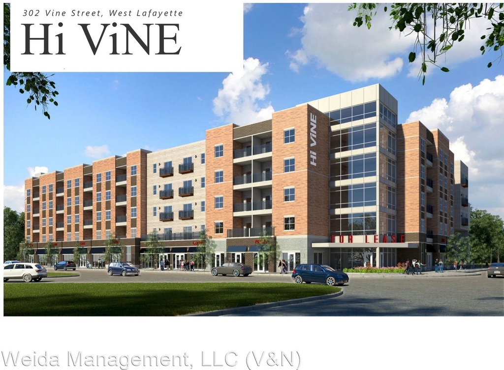 302 Vine Street - Photo 11