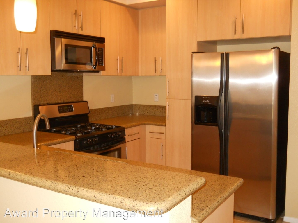 405 W 2nd Ave #1106 - Photo 3