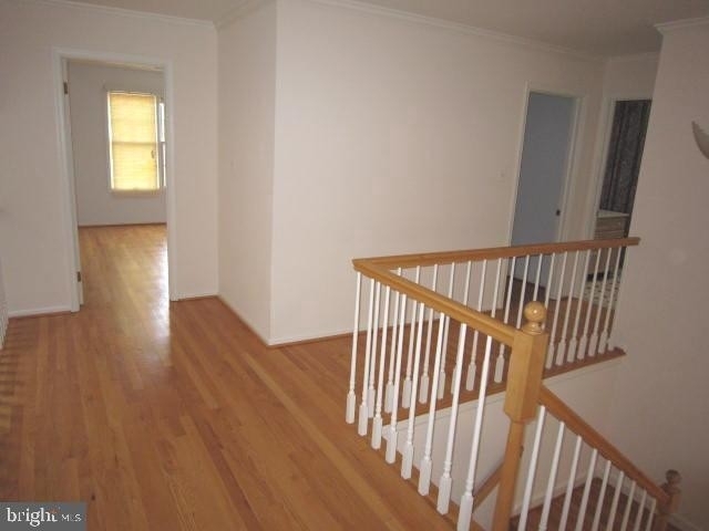 12004 Bernard Dr - Photo 50