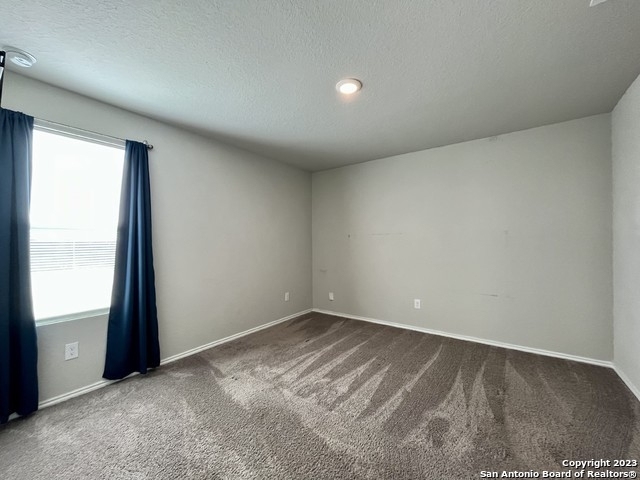 10518 Borlaug St - Photo 10