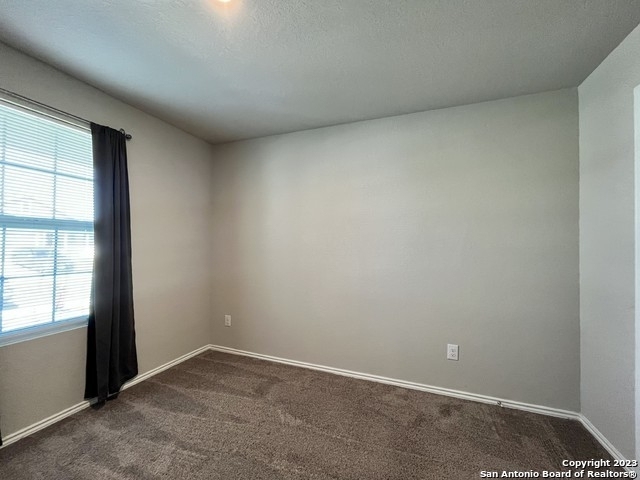 10518 Borlaug St - Photo 14