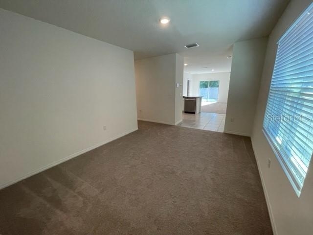 5217 Hillside Meadow Place - Photo 2