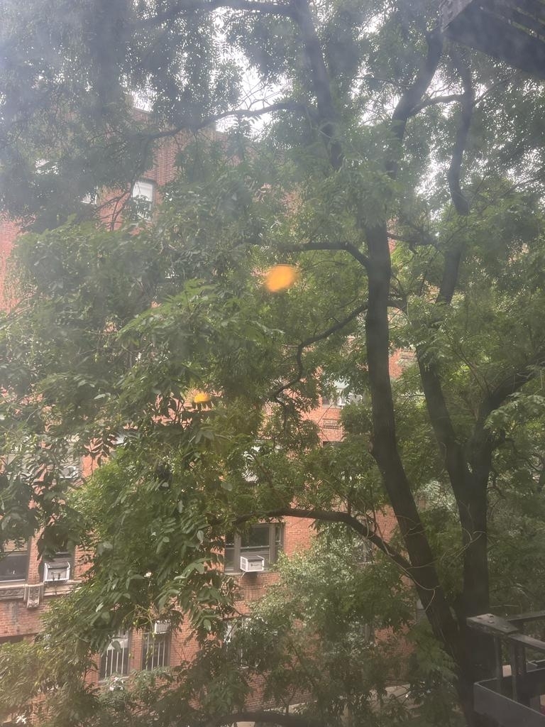 226 East 74th Street - Photo 7