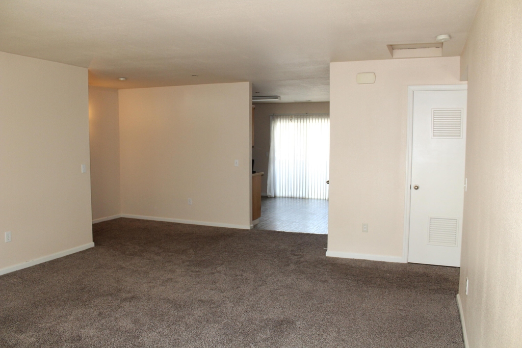 229 N Hall Street - Photo 8