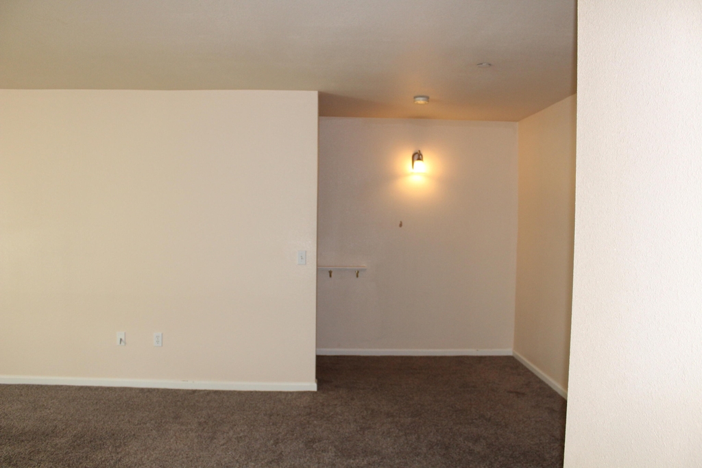 229 N Hall Street - Photo 10