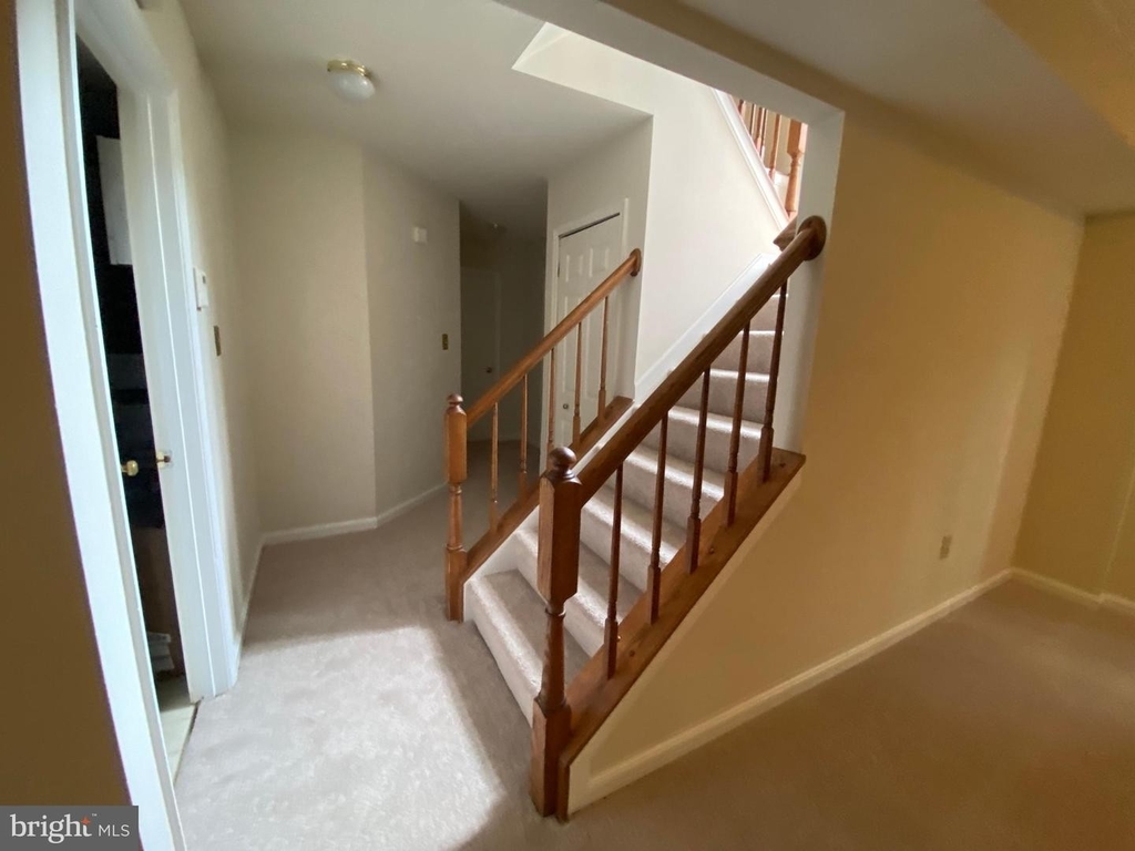 7429 Salford Ct - Photo 11