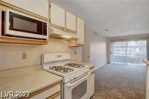 2200 S Fort Apache Road - Photo 15