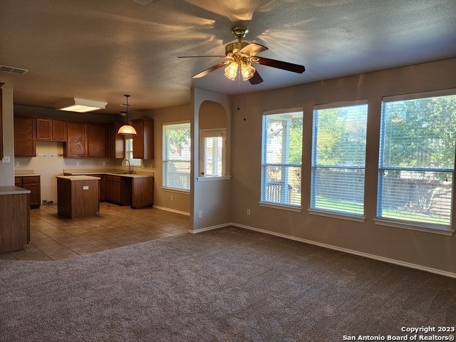 12111 Lantana Cove - Photo 10