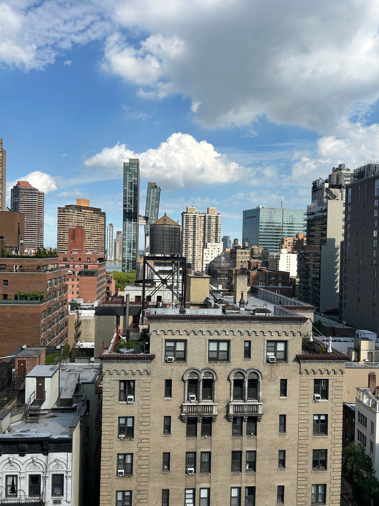 East 35th Street off Third Ave - Photo 10