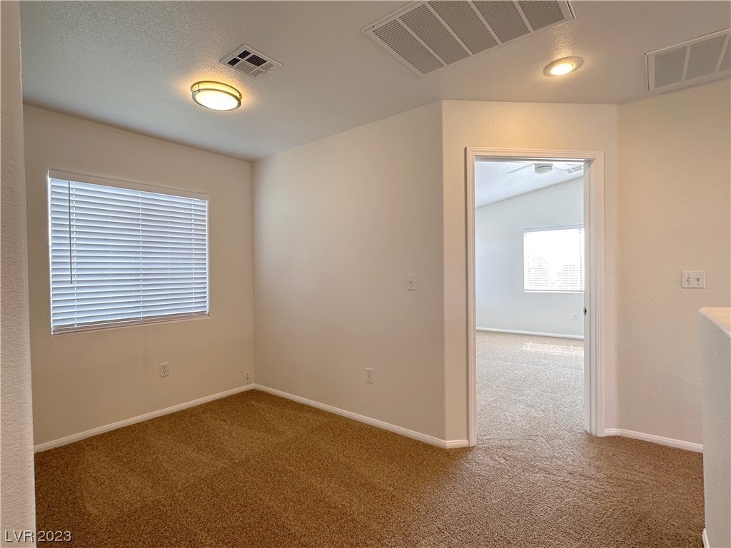 9253 Orchid Pansy Avenue - Photo 24