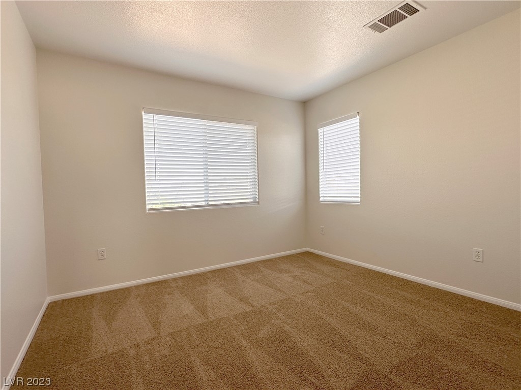 9253 Orchid Pansy Avenue - Photo 28