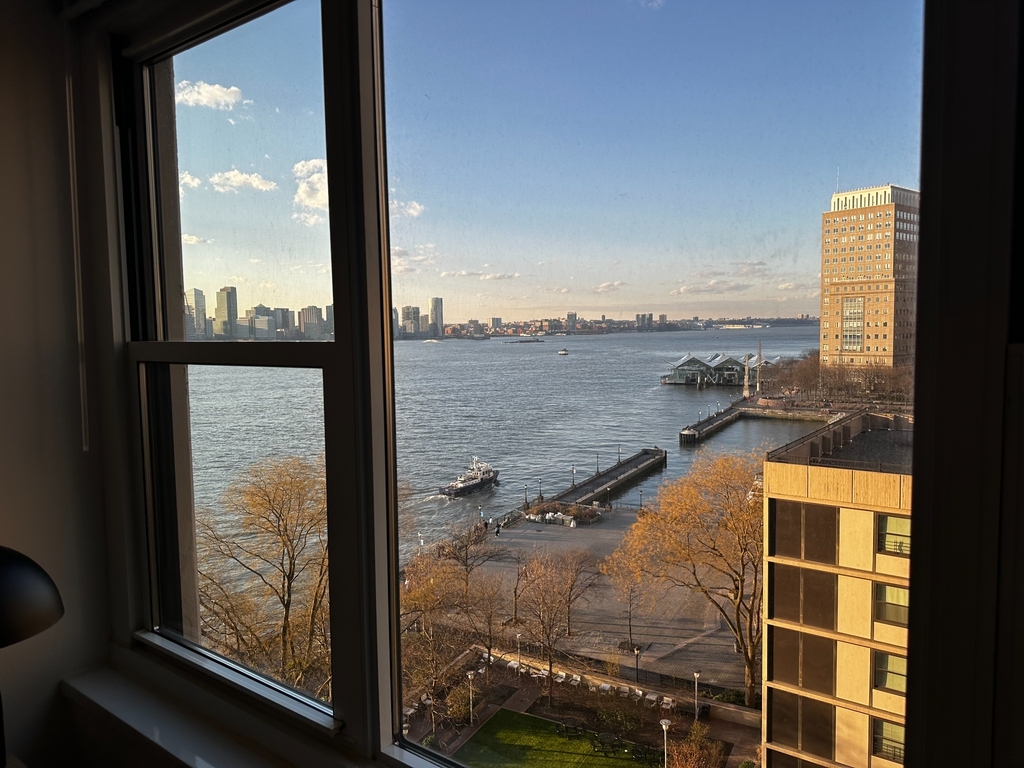  S End Ave battery park  - Photo 2