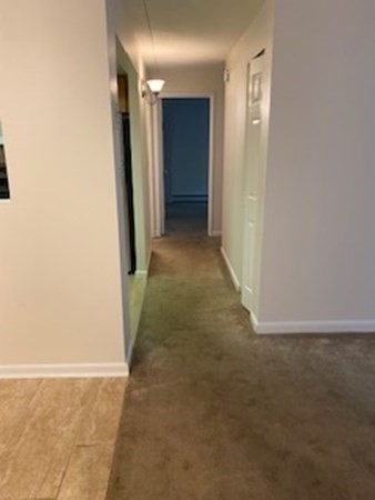 43 Mccormick Terrace - Photo 16