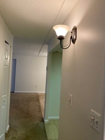 43 Mccormick Terrace - Photo 5