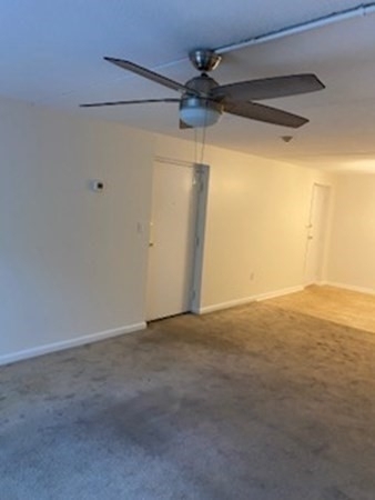 43 Mccormick Terrace - Photo 17