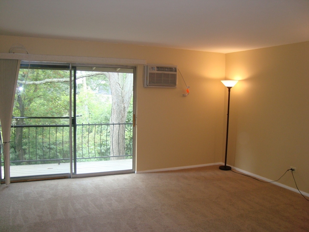 9s040 Lake Drive - Photo 1