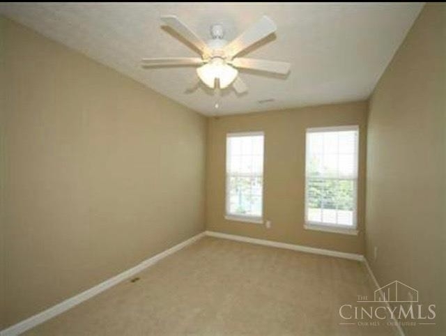 7369 Victoria Falls Avenue - Photo 9