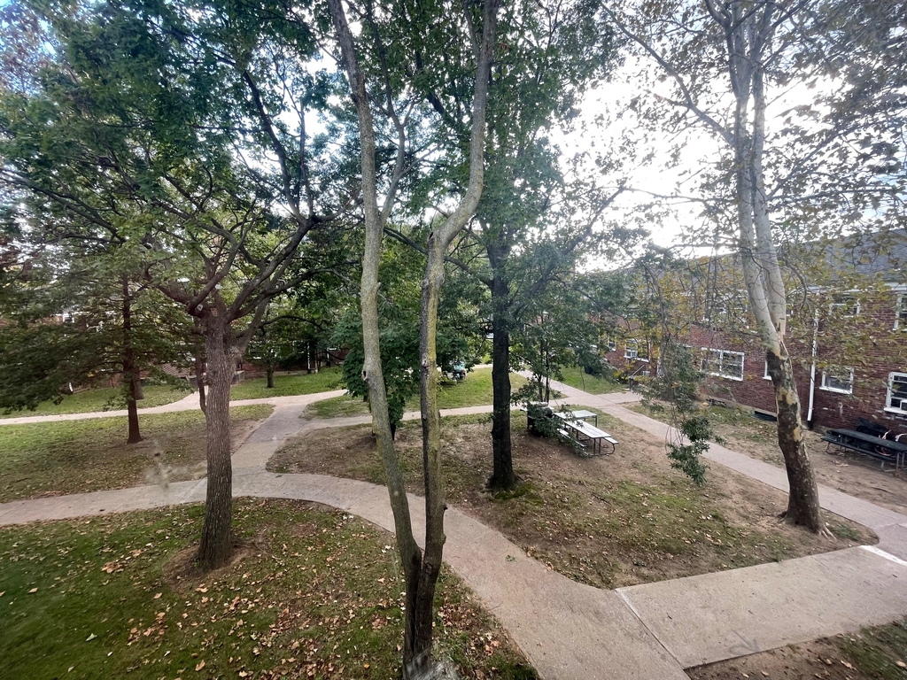 71-8 Parsons Boulevard - Photo 8