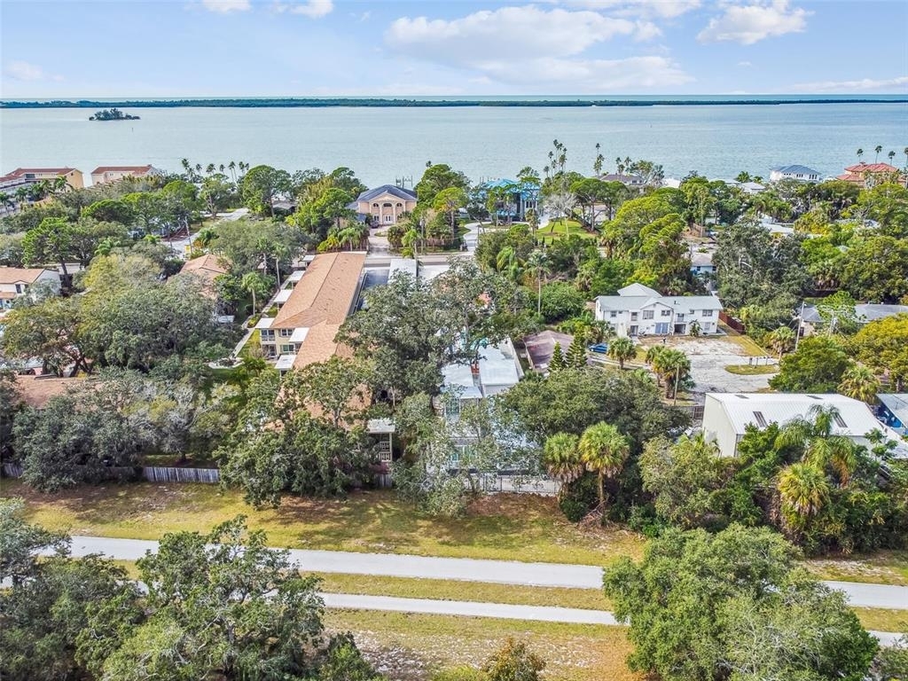 1523 Bayshore Boulevard - Photo 41