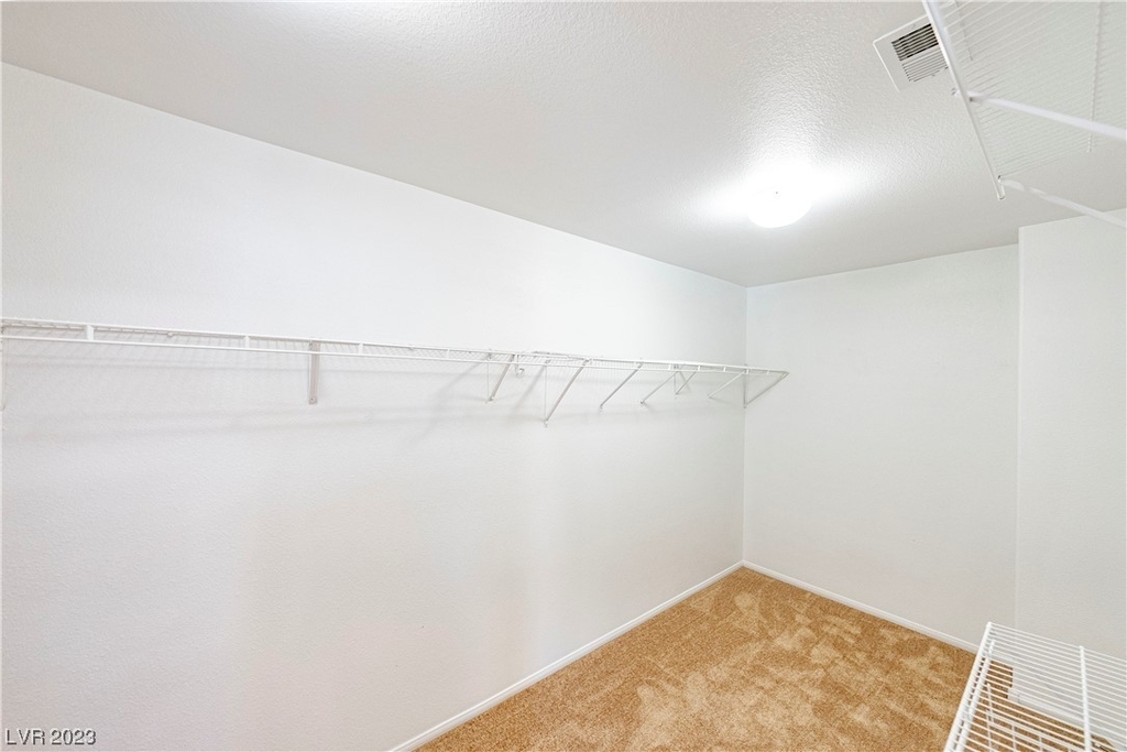 10041 Twilight Point Court - Photo 20