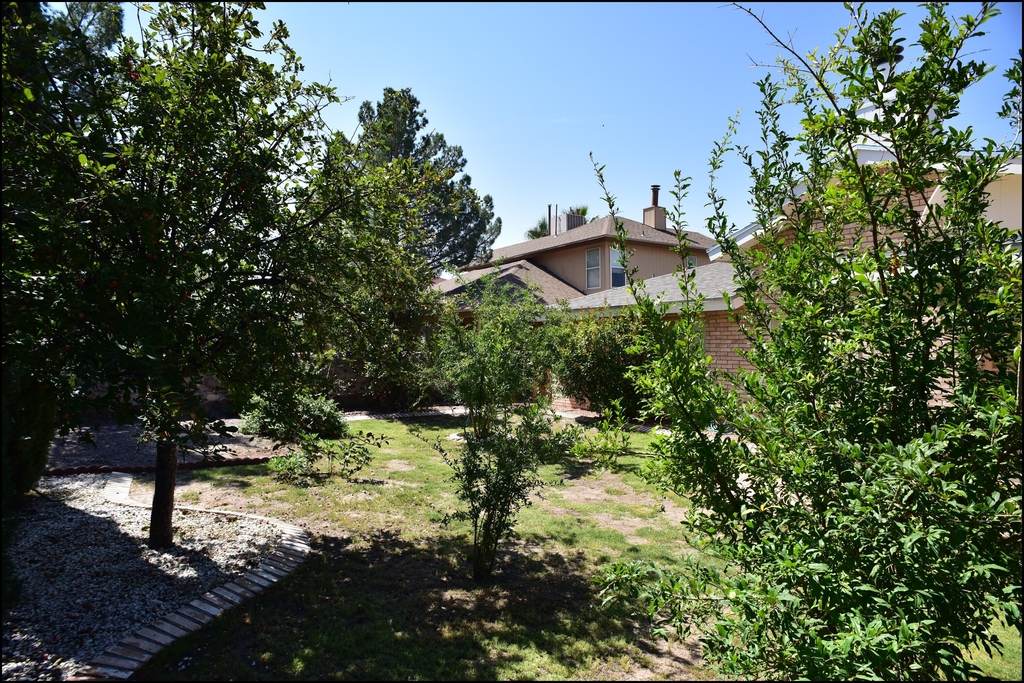 1174 Upper Canyon Place - Photo 38