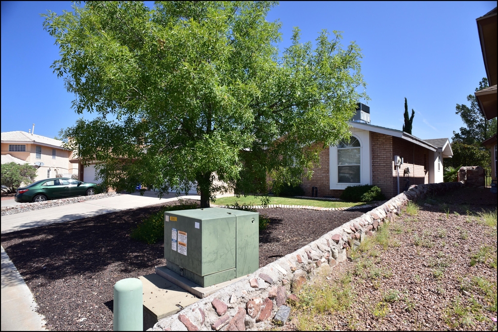 1174 Upper Canyon Place - Photo 3