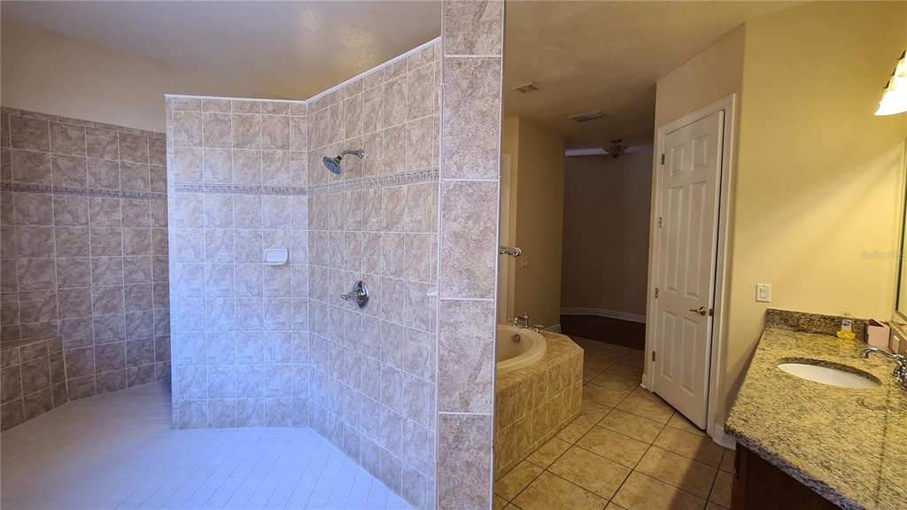 10547 Martinique Isle Drive - Photo 39