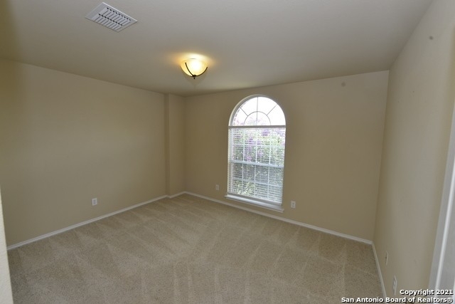 10923 Mustang Spring - Photo 21