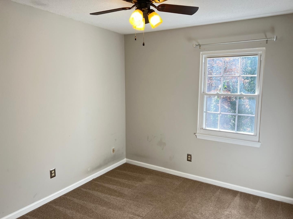 1333 Springlawn Court - Photo 11