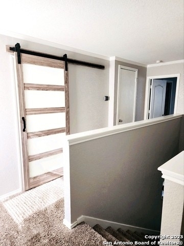 9114 Mimosa Manor - Photo 15