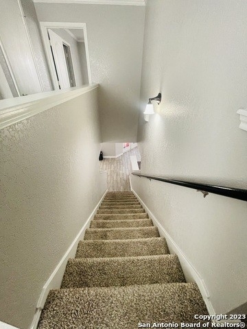 9114 Mimosa Manor - Photo 14