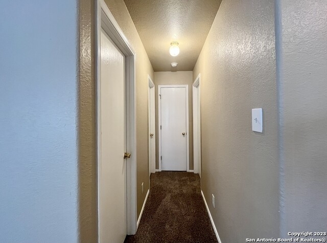 7935 Meadow Star - Photo 14