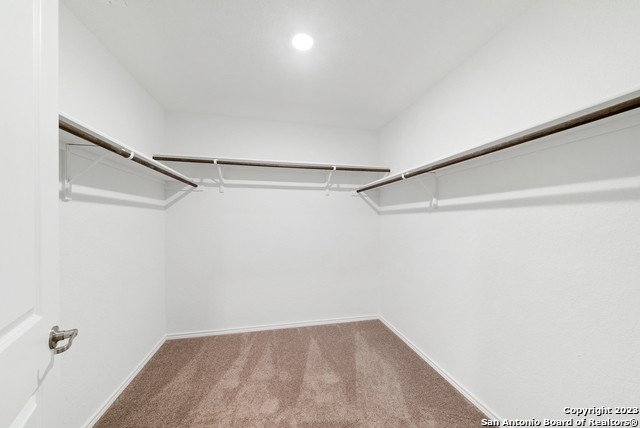 1355 Art Wall Way - Photo 19